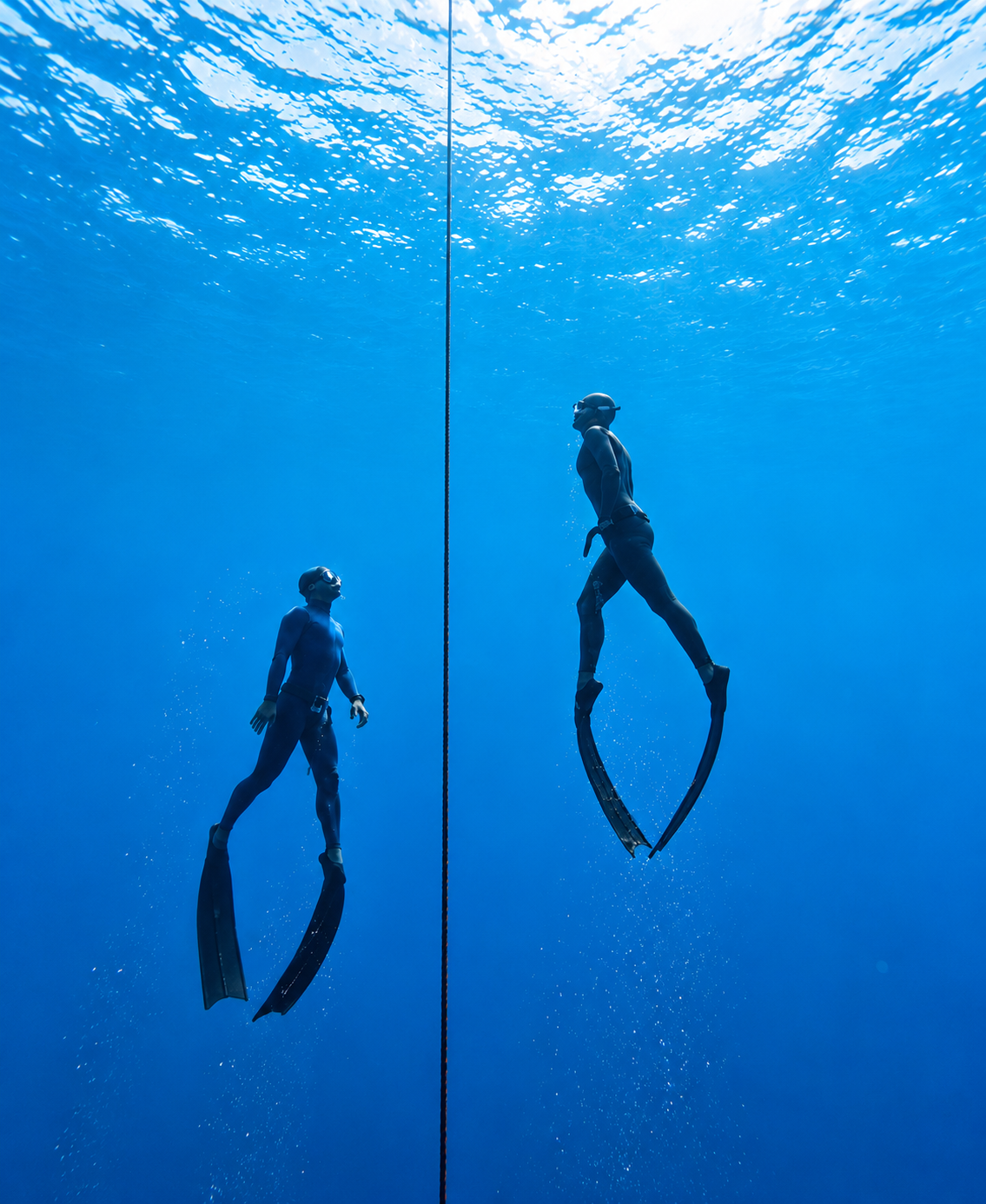 다이빙 교육